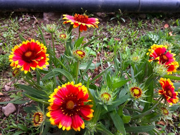 xiaomi mi tablet camera