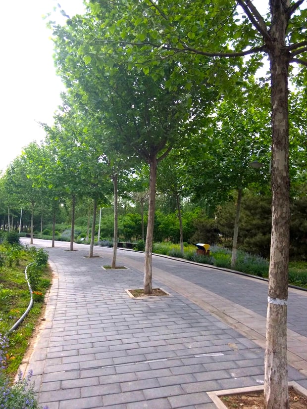 Xiaomi Mi Tablet Malaysia Camera