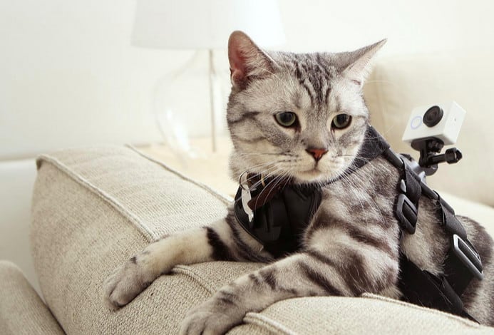 Xiaomi Yi Action Camera