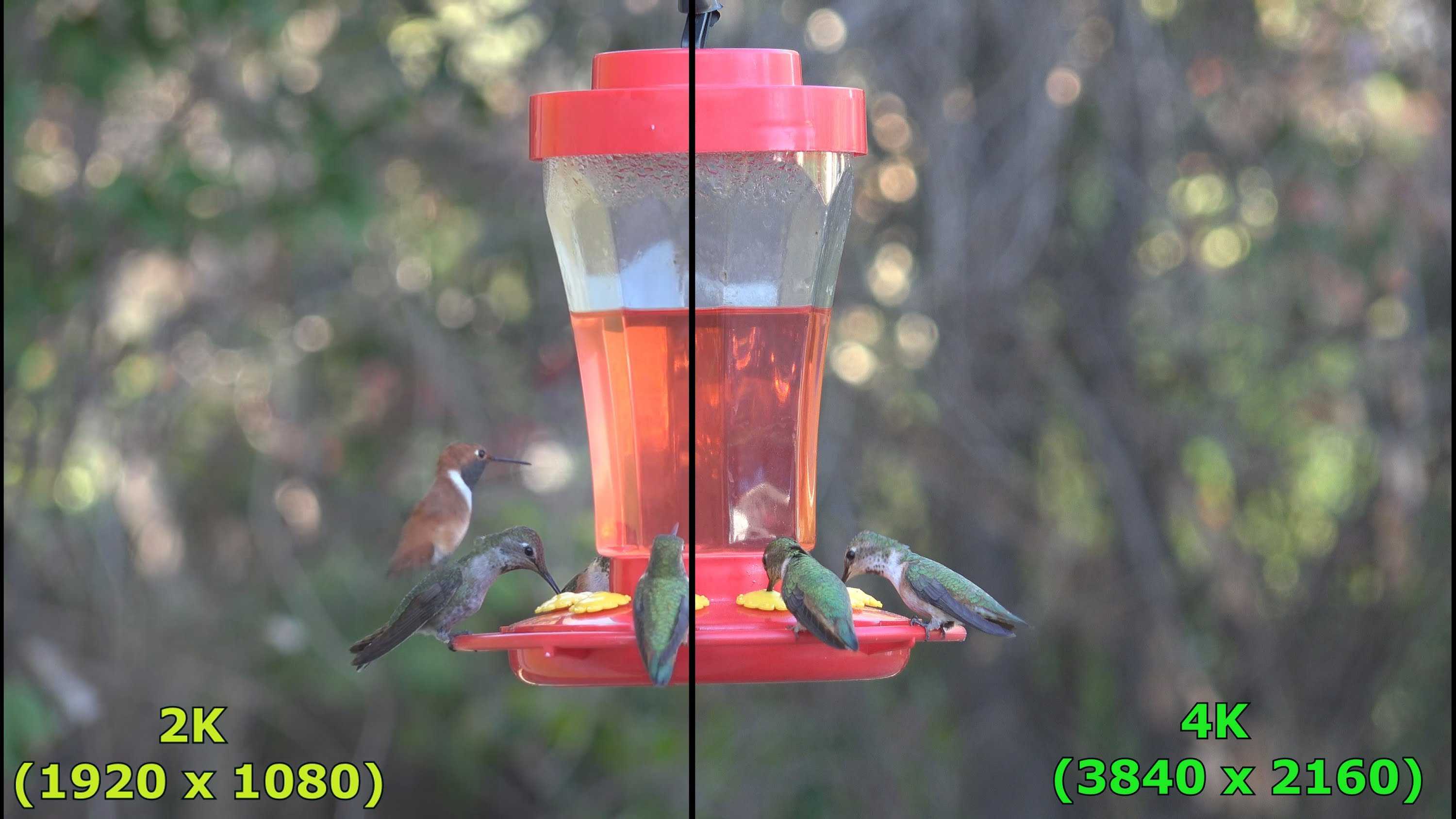 premium features phone