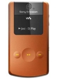 Sony Ericsson W518a