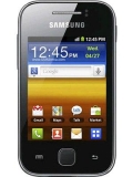 Samsung Galaxy Y CDMA I509
