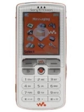 Sony Ericsson W800i